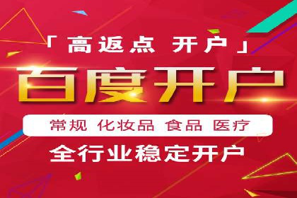 百度竞价代理全攻略：成功案例分享